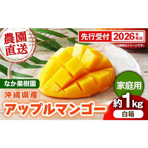 ふるさと納税 マンゴー 沖縄県 八重瀬町 先行受付 2026年発送 なか果樹園 アップルマンゴー 家庭用 約1kg (白箱)- 産地直送 先行予約 沖縄県産 ご自宅用 南…