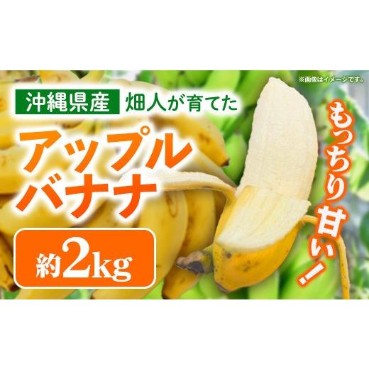 ふるさと納税 果物類 沖縄県 八重瀬町 畑人のアップルバナナ 約2kg - バナナ ばなな 小ぶり もっちり とろける 甘さ 追熟 沖縄県 産地直送 果物 フルーツ 南国…