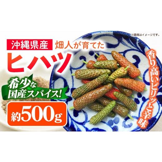 ふるさと納税 野菜類 沖縄県 八重瀬町 先行受付・2026年発送 畑人のヒハツ 約500g - ピパーチ ロングペッパー ヒバーチ ナガコショウ フィファチ 国産 沖縄県…