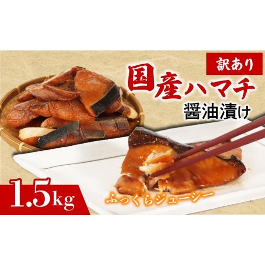 ふるさと納税 旬の鮮魚等 三重県 南伊勢町 訳あり タレあり ハマチ 1.5kg (加熱用) / お弁当 おかず 手軽 簡単 調理 魚 三重外湾漁業協同組合 はまち 産地直…