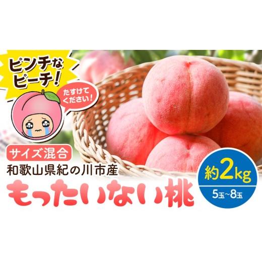 ふるさと納税 もも 和歌山県 紀の川市 桃 ピンチなピーチ もったいない桃 約2kg 5玉 〜 8玉 訳あり 訳アリ [2026年6月中旬-8月上旬頃出荷] サイズ混合 和歌…