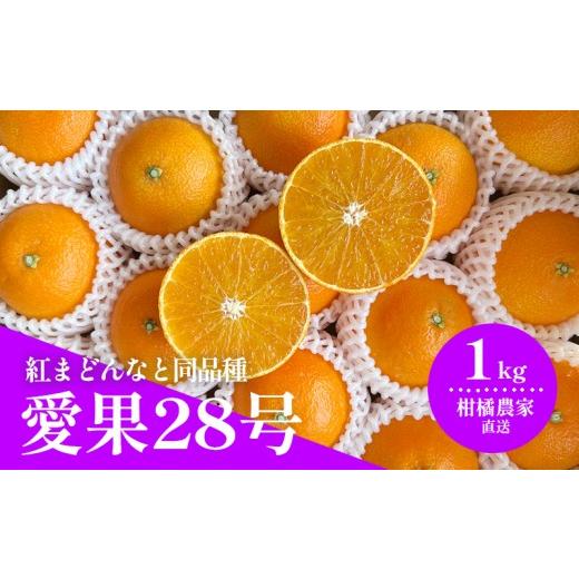 ふるさと納税 みかん・柑橘類 愛媛県 松山市 2026年11月下旬頃から順次発送 愛果28号(紅まどんなと同品種) 約1.0kg |みかん 愛果 蜜柑 松山市産みかん 柑…