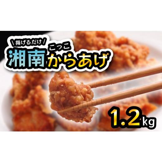 ふるさと納税 鶏肉 唐揚げ 神奈川県 平塚市 唐揚げ 1.2kg ( 400g × 3パック ) かながわグルメフェスタ グランプリ 鶏肉 からあげ karaage 生肉 生 冷凍 冷凍…