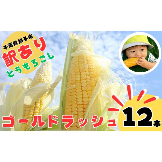 ふるさと納税 人参・大根・他根菜 千葉県 銚子市 先行予約 訳あり とうもろこし 12本 銚子産 ゴールドラッシュ トウモロコシ 野菜 やさい 旬 季節限定 夏限定 …