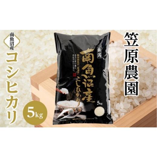 ふるさと納税 米 コシヒカリ 新潟県 南魚沼市 令和8年産新米予約 南魚沼産コシヒカリ5kg 2026年月9月下旬より1ヶ月以内に順次発送予定