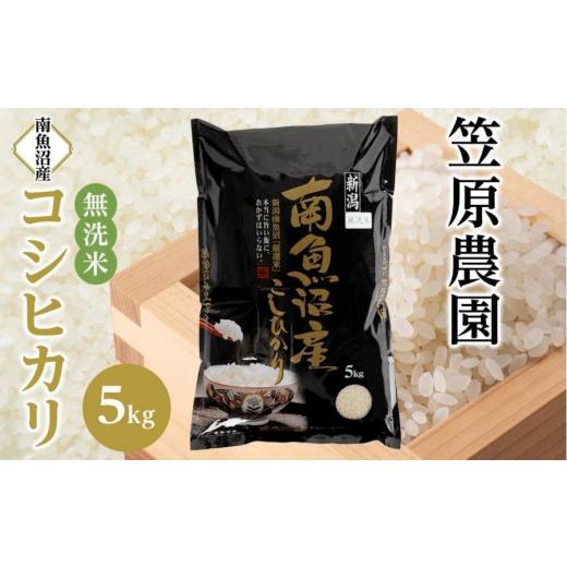ふるさと納税 無洗米 新潟県 南魚沼市 令和8年産新米予約 南魚沼産コシヒカリ無洗米5kg 2026年月9月下旬より1ヶ月以内に順次発送予定