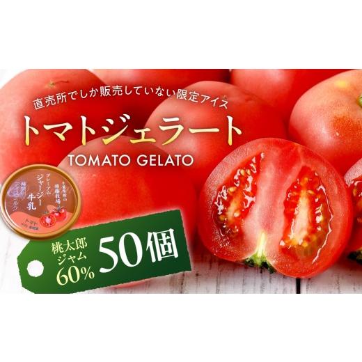 ふるさと納税 アイス・ヨーグルト ジェラート 千葉県 南房総市 トマトジェラート トマトジャム含有60% 50個セット ns0019-0022-2 トマト ジェラート トマトジ…