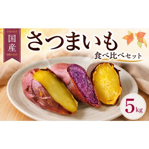 ふるさと納税 野菜類 サツマイモ 千葉県 旭市 先行予約 訳あり さつまいも 5kg セット 品種おまかせ 食べ比べ 10月中旬以降発送 サツマイモ 詰め合わせ 紅は…