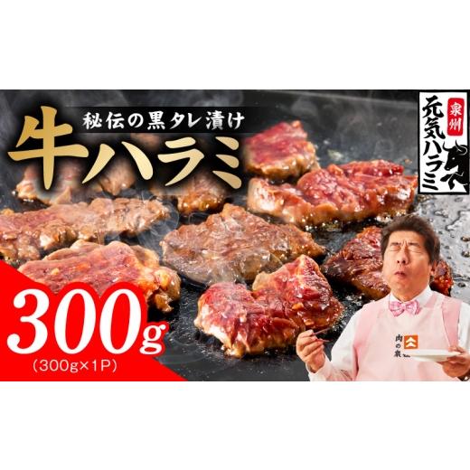 ふるさと納税 牛肉 大阪府 泉佐野市 新登場 極旨黒ダレ 牛ハラミ 300g お試し 牛肉 はらみ 小分け 焼肉 お弁当 BBQ 訳あり ワケアリ わけあり サイズ不揃い …