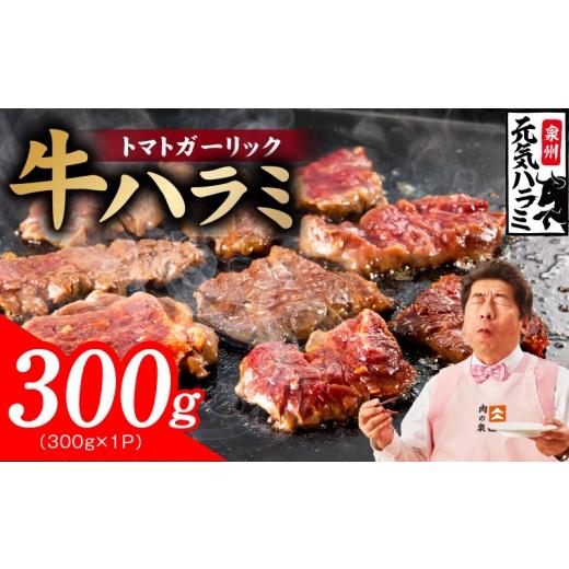 ふるさと納税 牛肉 大阪府 泉佐野市 新登場 トマトガーリック 牛ハラミ 300g お試し 牛肉 はらみ 小分け 焼肉 お弁当 BBQ 訳あり ワケアリ わけあり サイズ不…