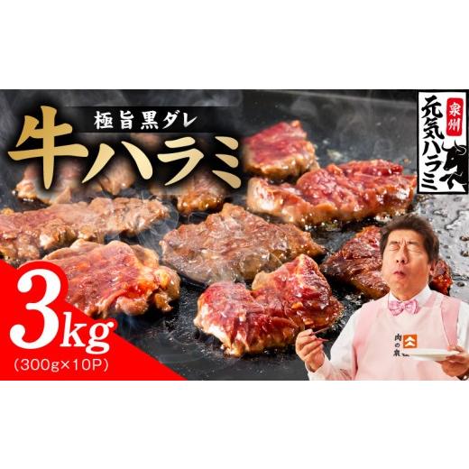 ふるさと納税 牛肉 大阪府 泉佐野市 新登場 極旨黒ダレ 牛ハラミ肉 3kg(300g×10P) 牛肉 はらみ 小分け 焼肉 お弁当 BBQ 訳あり ワケアリ わけあり サイズ…
