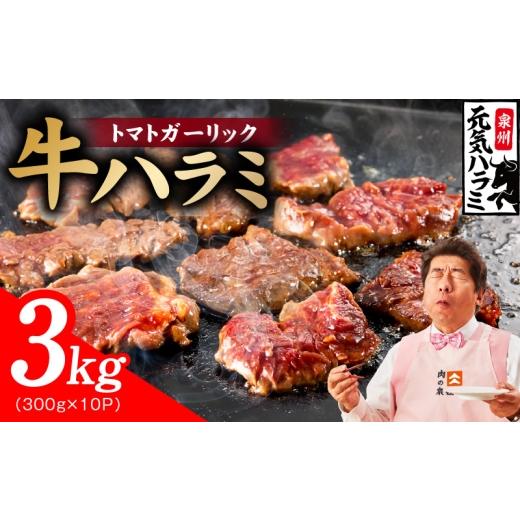 ふるさと納税 牛肉 大阪府 泉佐野市 新登場 トマトガーリック 牛ハラミ肉 3kg(300g×10P) 牛肉 はらみ 小分け 焼肉 お弁当 BBQ 訳あり ワケアリ わけあり …