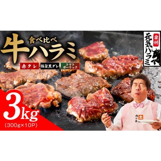 ふるさと納税 牛肉 大阪府 泉佐野市 3種食べ比べ 牛ハラミ肉 3kg(300g×10P) 牛肉 はらみ 小分け 焼肉 お弁当 BBQ 訳あり ワケアリ わけあり サイズ不揃い …