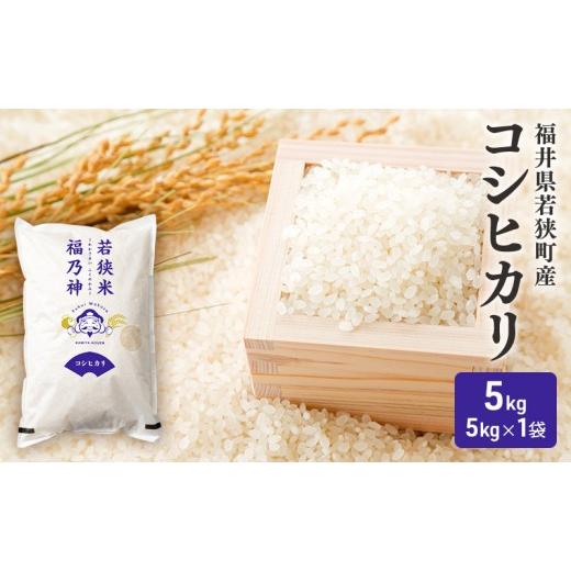 ふるさと納税 米 コシヒカリ 福井県 若狭町 10月お届け 令和8年産 若狭町コシヒカリ5kg 米 お米 こしひかり 福井県