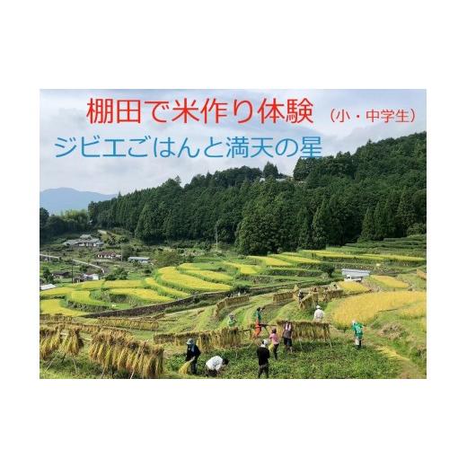 ふるさと納税 体験チケット 和歌山県 那智勝浦町 棚田で米作り体験 小・中学生用 (参加チケット1回分)