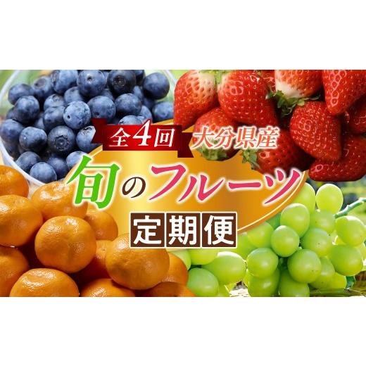 ふるさと納税 ぶどう マスカット 大分県 大分市 大分県産 旬のフルーツ定期便 計4回お届け 数量限定 ブルーベリー シャインマスカット 温州みかん 大分いちご …