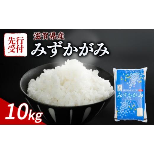 ふるさと納税 米 滋賀県 彦根市 令和8年産 先行予約 新米 みずかがみ 10kg 令和8年産 米 精米 こめ コメ お米 ご飯 米 5kg × 2袋 10キロ 令和8年 滋賀 彦根 …