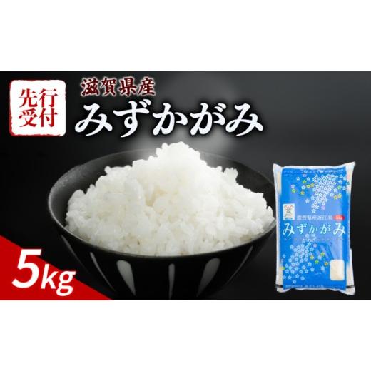 ふるさと納税 米 滋賀県 彦根市 令和8年産 先行予約 新米 みずかがみ 5kg 令和8年産 米 精米 こめ コメ お米 ご飯 5キロ 令和8年 令和8年度産 令和八年産 令…