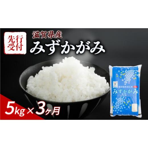 ふるさと納税 米 滋賀県 彦根市 令和8年産 先行予約 新米 みずかがみ 5kg 3ヶ月定期便 令和8年産 米 こめ ご飯 米 定期便 3回定期便 3か月定期便 3回 3か月 5…