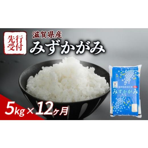 ふるさと納税 米 滋賀県 彦根市 令和8年産 先行予約 新米 みずかがみ 5kg 12ヶ月定期便 令和8年産 米 こめ ご飯 米 定期便 12回定期便 12か月定期便 12回 12…