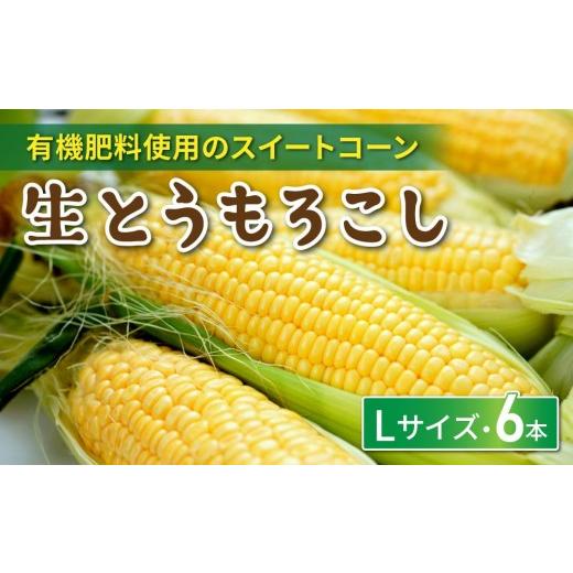 ふるさと納税 とうもろこし 長野県 東御市 生とうもろこし Lサイズ 6本 有機肥料使用のスイートコーン 長野県東御市産 7月上旬から順次発送予定 発送曜日指定…