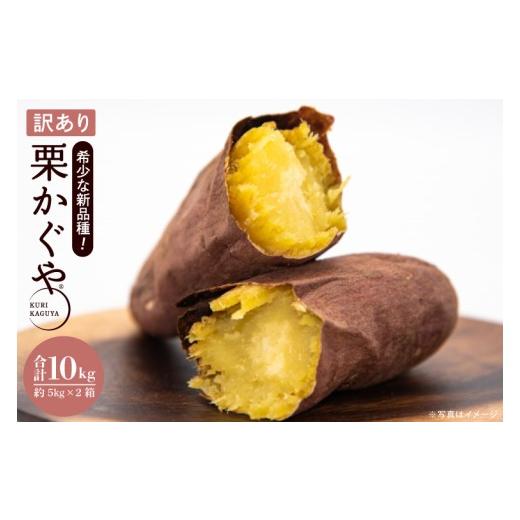 ふるさと納税 野菜類 サツマイモ 茨城県 行方市 訳あり 行方かんしょ「行方の黄福(栗かぐや)」さつまいも約10kg(洗い・不揃い・C品)|茨城県 行方市 ふる…