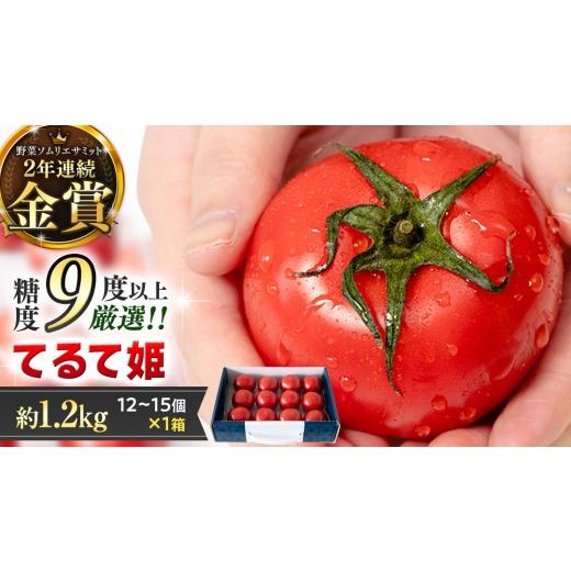 ふるさと納税 野菜類 トマト 茨城県 桜川市 [ 2027年 収穫分 ]2〜3月配送 スーパーフルーツトマト てるて姫 中箱 約1.2kg × 1箱 12〜15玉/1箱 糖度9度以上…