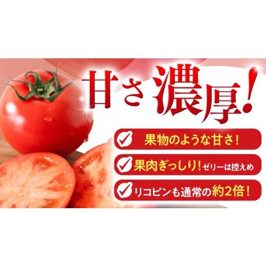 ふるさと納税 野菜類 トマト 茨城県 桜川市 《 2027年 収穫分 》3〜4月配送 スーパーフルーツトマト てるて姫 中箱 約1.2kg × 1箱 12〜15玉／1箱 糖度9度以上…_2