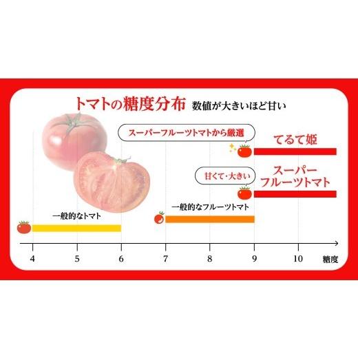 ふるさと納税 野菜類 トマト 茨城県 桜川市 《 2027年 収穫分 》3〜4月配送 スーパーフルーツトマト てるて姫 中箱 約1.2kg × 1箱 12〜15玉／1箱 糖度9度以上…_6