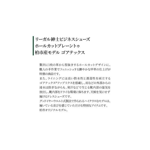 ふるさと納税 ファッション 靴 千葉県 柏市 REGALリーガル紳士ビジネスシューズ 217S ホールカットプレーントゥ 柏市産モデル ダークブラウン ゴアテックス 21…_5