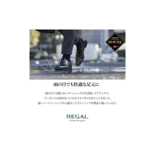 ふるさと納税 ファッション 靴 千葉県 柏市 REGALリーガル紳士ビジネスシューズ 217S ホールカットプレーントゥ 柏市産モデル ダークブラウン ゴアテックス 21…_7