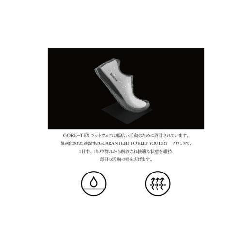 ふるさと納税 ファッション 靴 千葉県 柏市 REGALリーガル紳士ビジネスシューズ 217S ホールカットプレーントゥ 柏市産モデル ダークブラウン ゴアテックス 21…_8