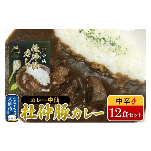 ふるさと納税 加工品等 レトルト 秋田県 大仙市 カレー 中仙の杜仲豚カレー 中辛 12食 セット 物産中仙 秋田県 大仙市 レトルトカレー ブランド豚 杜仲豚 ご当…