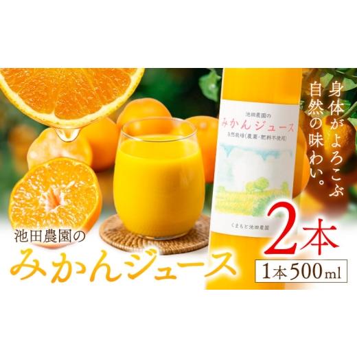 ふるさと納税 果汁飲料 みかん 熊本県 玉東町 池田農園のみかんジュース 2本 1本500ml 池田農園[30日以内に出荷予定(土日祝除く)]熊本県 玉名郡 玉東町 みか…