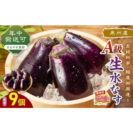 ふるさと納税 野菜類 茄子 大阪府 泉南市 まるやま農園 泉州A級生水なす 9個入り ふるさと納税3.0 087D-131