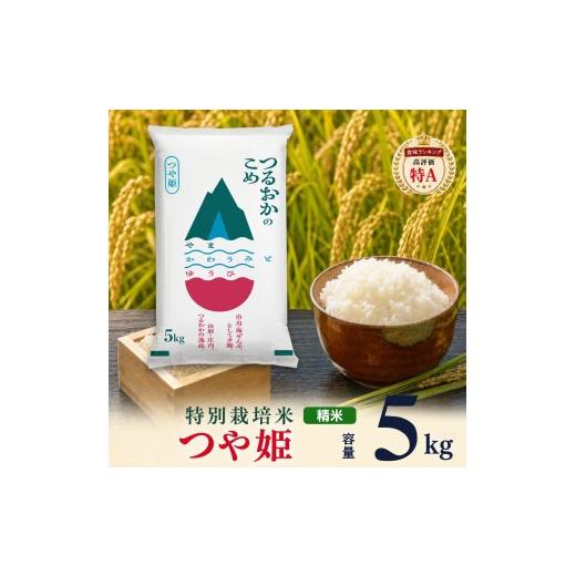 ふるさと納税 米 つや姫 山形県 鶴岡市 令和7年産 特別栽培米 つや姫 精米 5kg (5kg×1袋) 山形県 庄内産 | つやひめ 5キロ 米 お米 コメ 白米 食品 ご飯 …