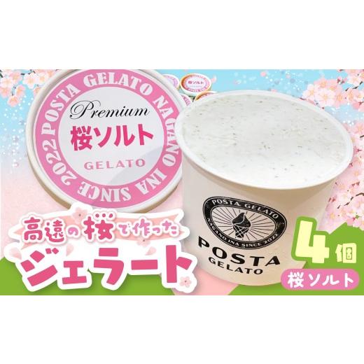 ふるさと納税 アイス・ヨーグルト ジェラート 長野県 伊那市 高遠の桜で作ったジェラート 桜ソルト 130ml×4個 |ジェラート アイス おやつ あまい 冷たい 高遠…
