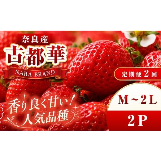 ふるさと納税 いちご 奈良県 平群町 定期便 2回 平群 の 古都華 いちご ( M 〜 2Lサイズ) 2パック | 先行予約 フルーツ 果物 くだもの ブランド いちご 苺 …