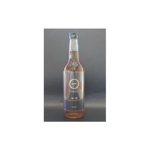 ふるさと納税 お酒 和歌山県 みなべ町 梅一番井口 梅酒 UMEICHI 原酒 600ml maruni076