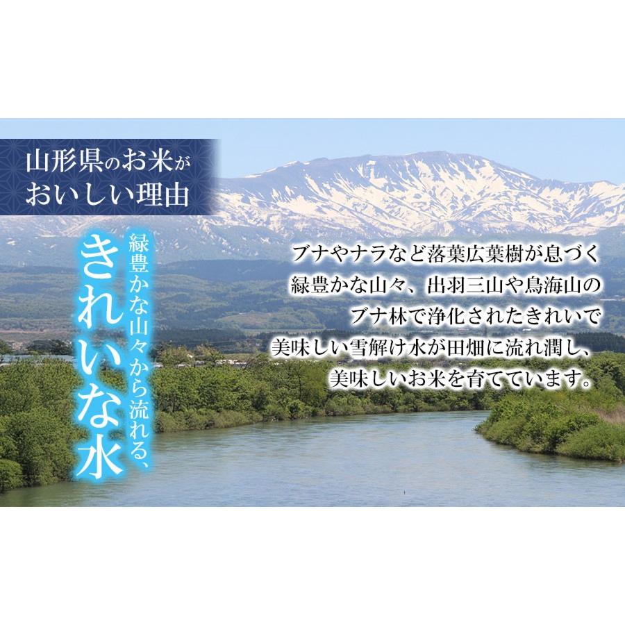 ふるさと納税 米 つや姫 山形県 鶴岡市  令和7年産 特別栽培米 つや姫 精米 10kg（5kg×2袋）　山形県産 　| つやひめ 10キロ 米 お米 コメ 白米 食品 ご飯 ご… |  | 05