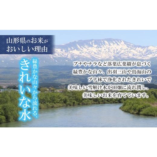 ふるさと納税 米 つや姫 山形県 鶴岡市  令和7年産 特別栽培米 つや姫 玄米 10kg（5kg×2袋）　山形県産 　| つやひめ 10キロ 米 お米 コメ 食品 ご飯 ごはん … |  | 05