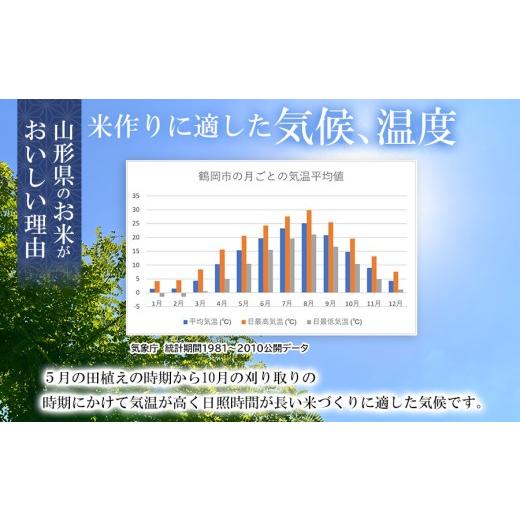ふるさと納税 米 つや姫 山形県 鶴岡市  令和7年産 特別栽培米 つや姫 玄米 10kg（5kg×2袋）　山形県産 　| つやひめ 10キロ 米 お米 コメ 食品 ご飯 ごはん … |  | 06
