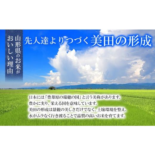 ふるさと納税 米 つや姫 山形県 鶴岡市  令和7年産 特別栽培米 つや姫 玄米 10kg（5kg×2袋）　山形県産 　| つやひめ 10キロ 米 お米 コメ 食品 ご飯 ごはん … |  | 07