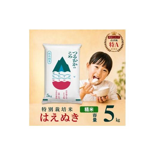 ふるさと納税 米 はえぬき 山形県 鶴岡市 令和7年産 特別栽培米 はえぬき 精米 5kg (5kg×1袋) 山形県 庄内産 | 5キロ 米 お米 コメ 白米 食品 ご飯 ごは…