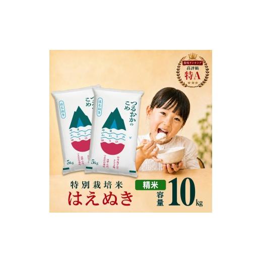 ふるさと納税 米 はえぬき 山形県 鶴岡市 令和7年産 特別栽培米 はえぬき 精米 10kg(5kg×2袋) 山形県 庄内産 | 10キロ 米 お米 コメ 白米 食品 ご飯 ごは…