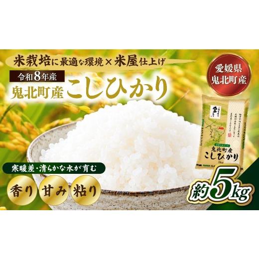 ふるさと納税 米 コシヒカリ 愛媛県 鬼北町 先行予約 令和8年産 鬼北町産 こしひかり 5kg 米屋仕上げ | R8年産 新米 精米 白米 ご飯 米 コシヒカリ お米のま…