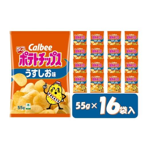 ふるさと納税 菓子 スナック 岐阜県 各務原市 1378 カルビー ポテトチップス うすしお味 16袋