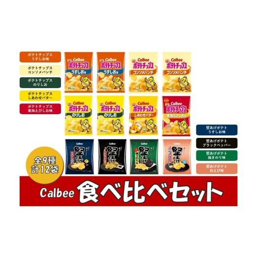 ふるさと納税 菓子 スナック 岐阜県 各務原市 1381 カルビー ポテトチップス 堅あげポテト 食べ比べセット 全9種 12袋