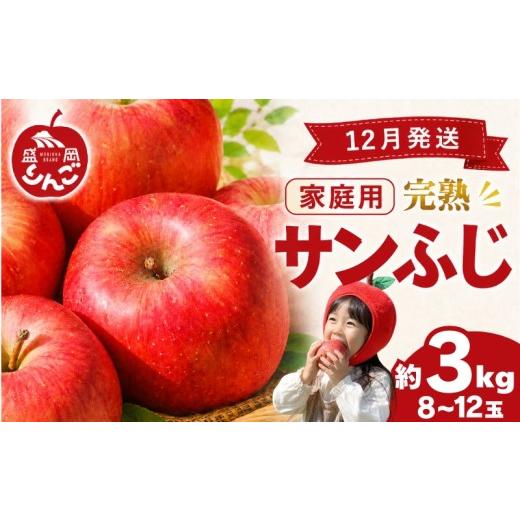 ふるさと納税 果物類 岩手県 盛岡市 先行予約 訳あり サンふじ 完熟 りんご 3kg 8~12玉 家庭用 <12月発送> 規格外 傷 不揃い フルーツ 果物 冬 旬 旬の…