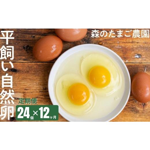 ふるさと納税 卵（鶏、烏骨鶏等） 岐阜県 高山市 定期便 卵 12ヶ月 平飼い 自然卵 24個 セット たまご 卵 飛騨高山 森のたまご農園 LW104 | 定期便 たまご 定…_1